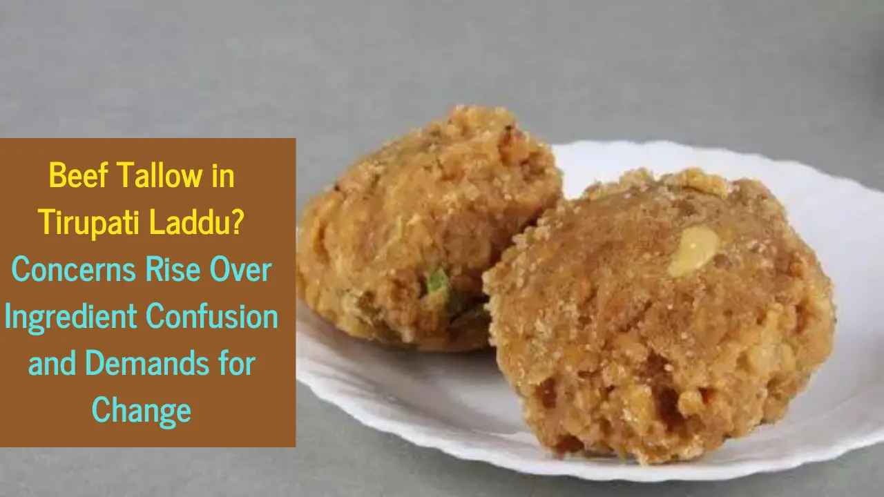 Beef Tallow in Tirupati Laddu? Confusion Over Ingredients Leads to Concern and Demands for Change