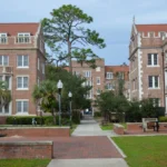 University of Florida: A comprehensive guide to academia, admissions, and campus life